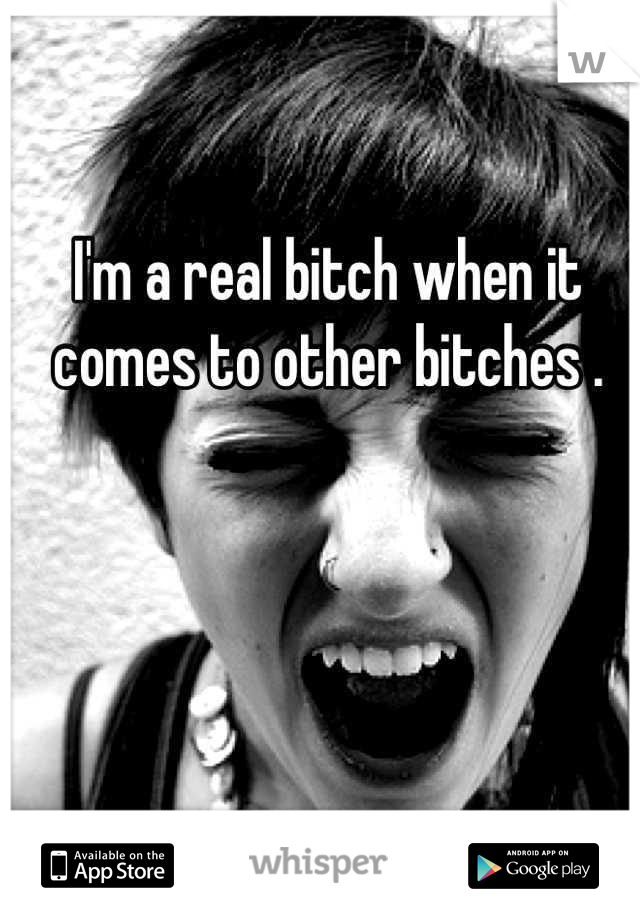 I'm a real bitch when it comes to other bitches .