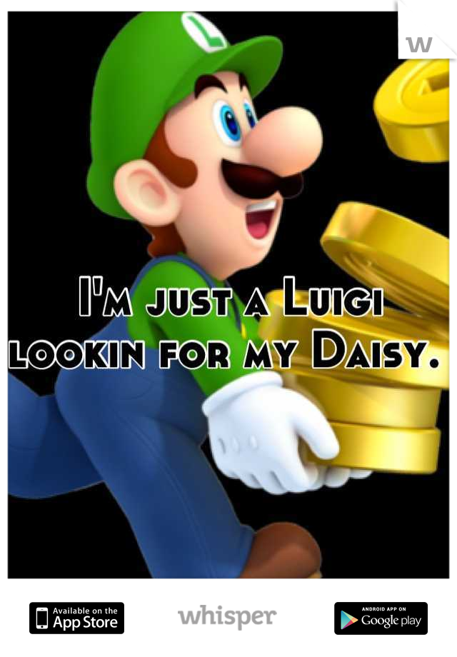 I'm just a Luigi lookin for my Daisy. 