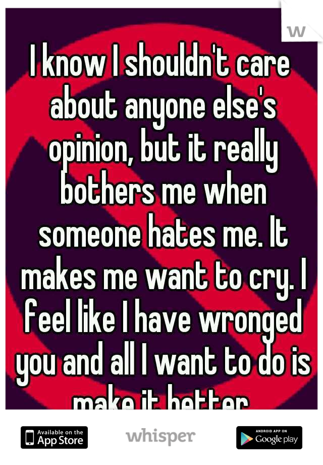 I know I shouldn't care about anyone else's opinion, but it really bothers me when someone hates me. It makes me want to cry. I feel like I have wronged you and all I want to do is make it better.