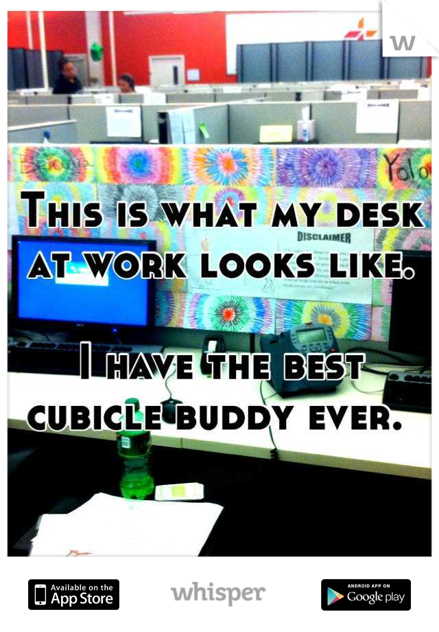 This is what my desk at work looks like. 

I have the best cubicle buddy ever. 