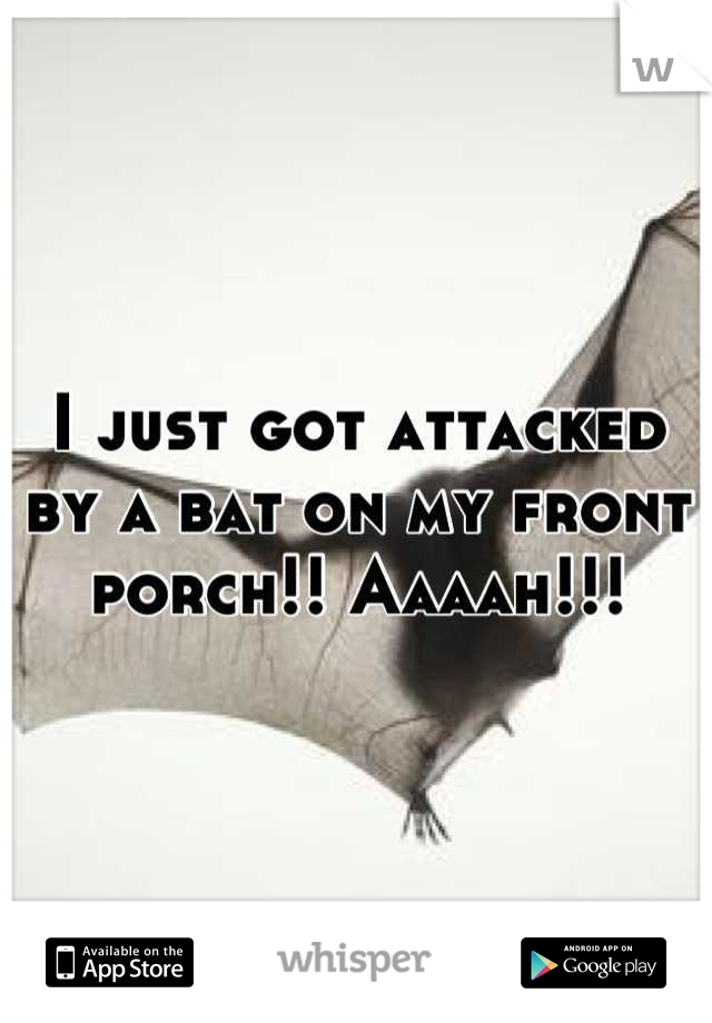I just got attacked by a bat on my front porch!! Aaaah!!!