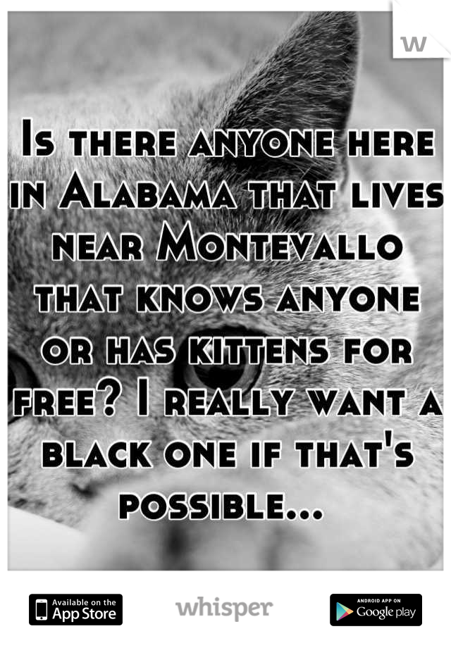 Is there anyone here in Alabama that lives near Montevallo that knows anyone or has kittens for free? I really want a black one if that's possible... 