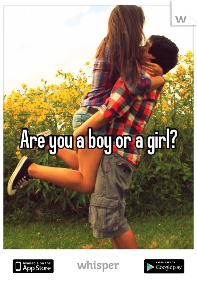 Are you a boy or a girl?
