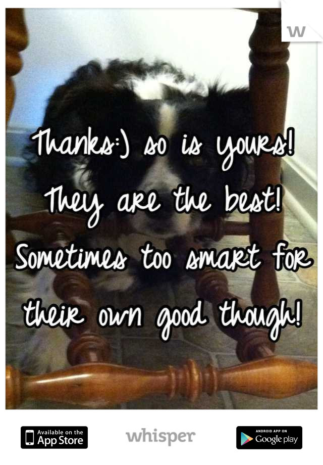 Thanks:) so is yours! They are the best! Sometimes too smart for their own good though!