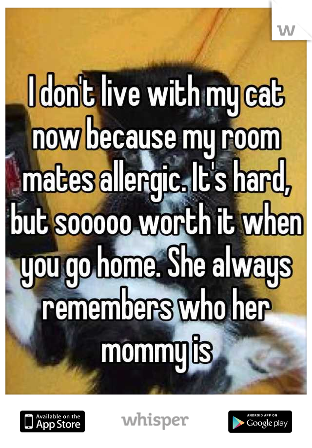 I don't live with my cat now because my room mates allergic. It's hard, but sooooo worth it when you go home. She always remembers who her mommy is