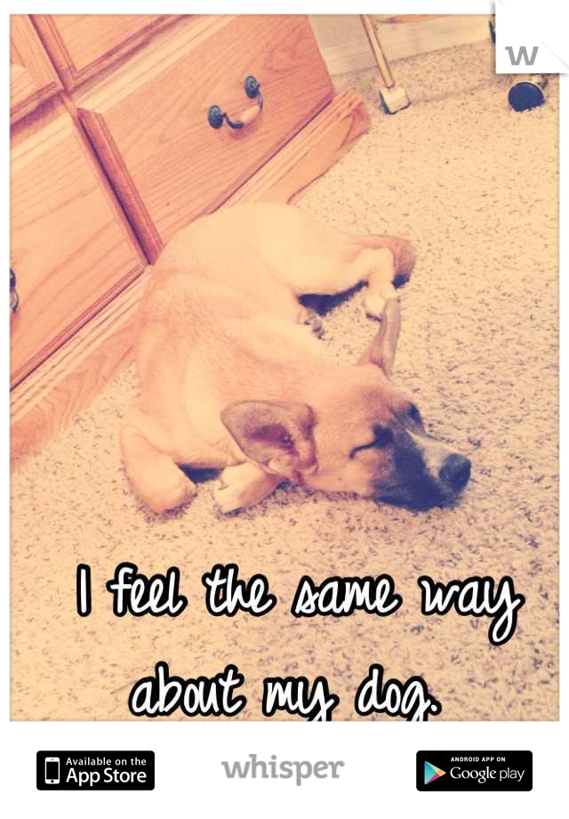 I feel the same way about my dog. 