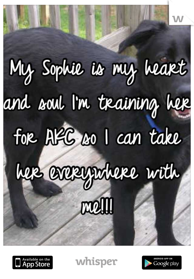 My Sophie is my heart and soul I'm training her for AKC so I can take her everywhere with me!!!