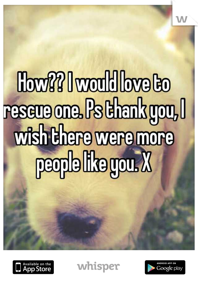 How?? I would love to rescue one. Ps thank you, I wish there were more people like you. X