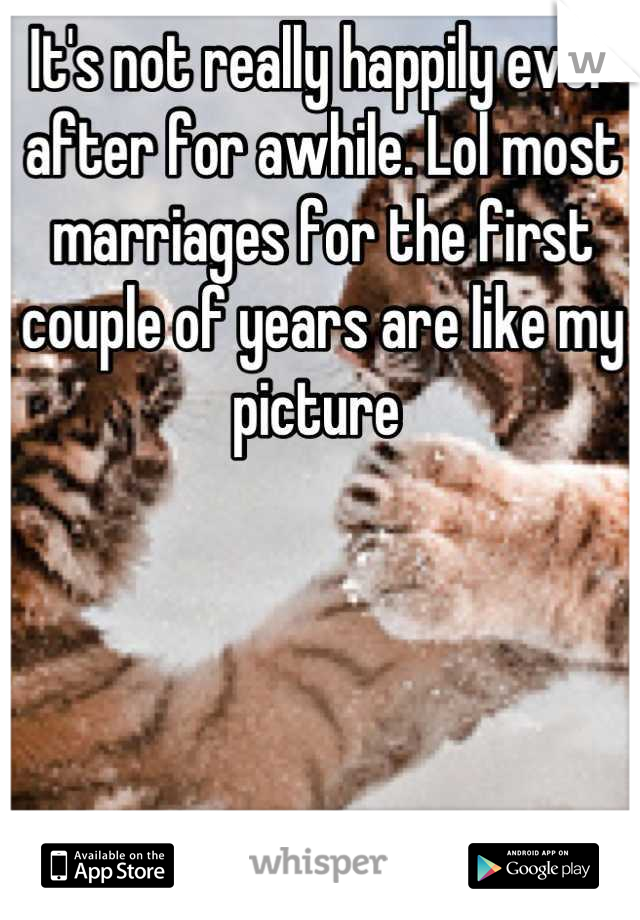 It's not really happily ever after for awhile. Lol most marriages for the first couple of years are like my picture 