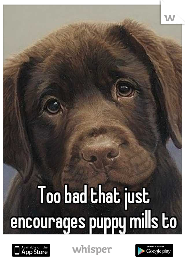 Too bad that just encourages puppy mills to keep breeding. 

