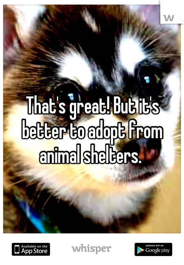 That's great! But it's better to adopt from animal shelters. 