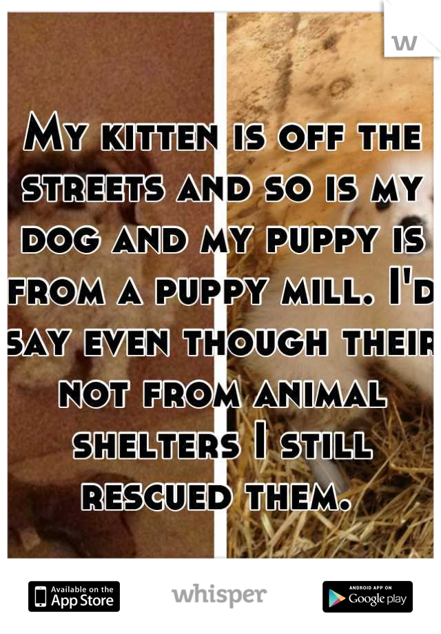 My kitten is off the streets and so is my dog and my puppy is from a puppy mill. I'd say even though their not from animal shelters I still rescued them. 