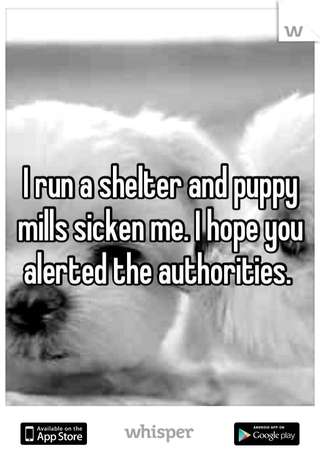 I run a shelter and puppy mills sicken me. I hope you alerted the authorities. 