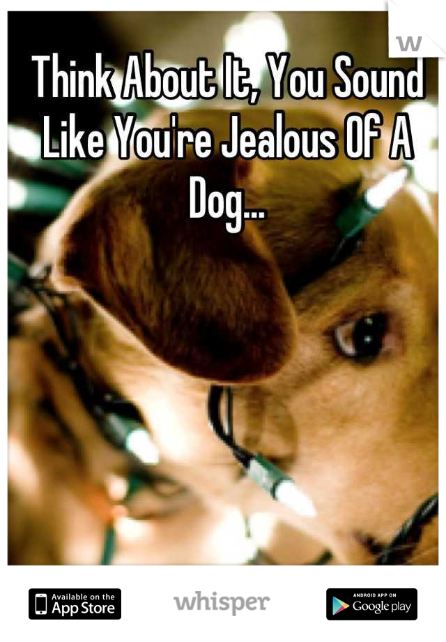 Think About It, You Sound Like You're Jealous Of A Dog...