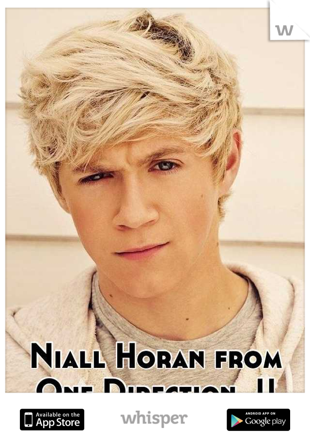 Niall Horan from One Direction..!!