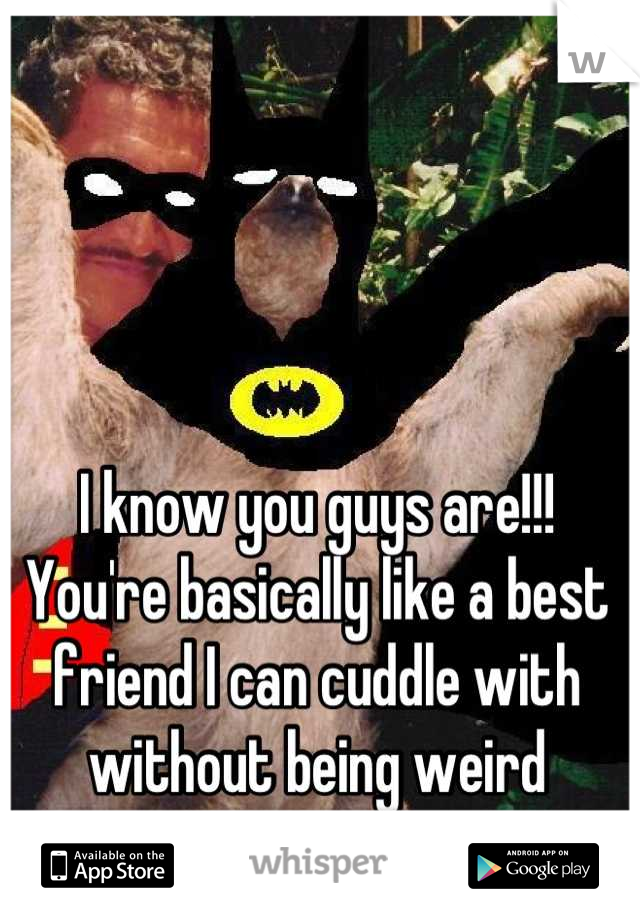 I know you guys are!!! You're basically like a best friend I can cuddle with without being weird