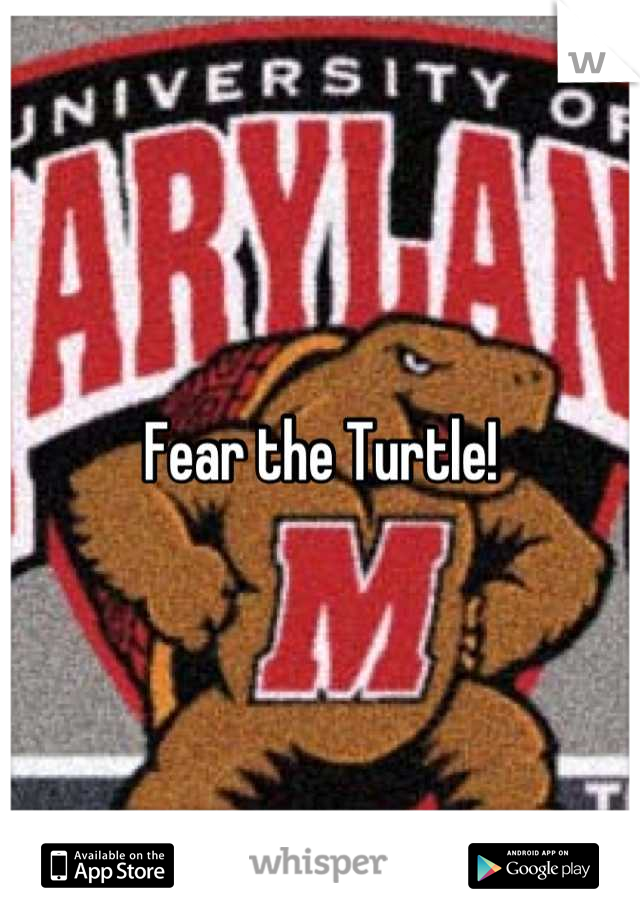 Fear the Turtle!