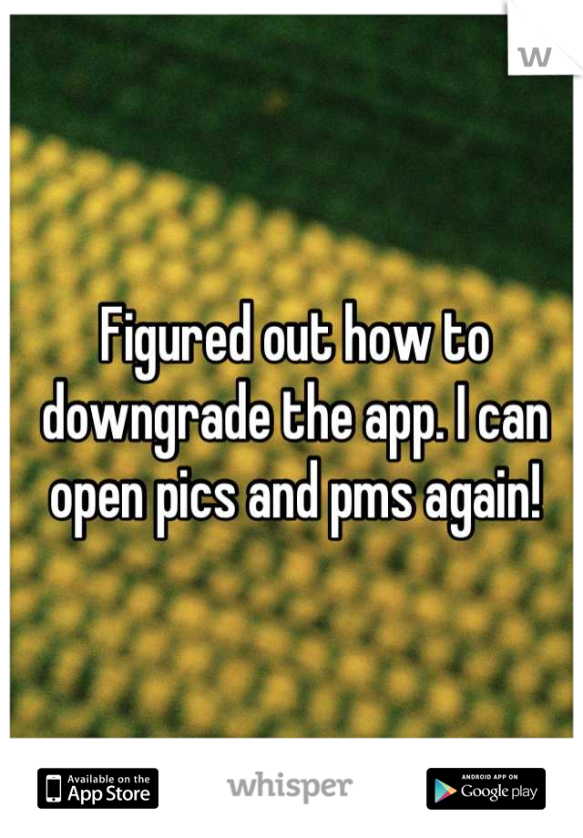 Figured out how to downgrade the app. I can open pics and pms again!