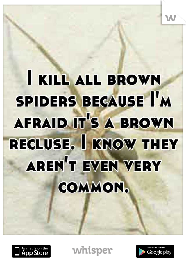 I kill all brown spiders because I'm afraid it's a brown recluse. I know they aren't even very common.