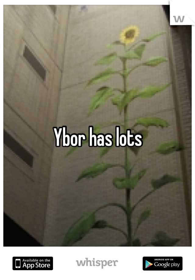 Ybor has lots
