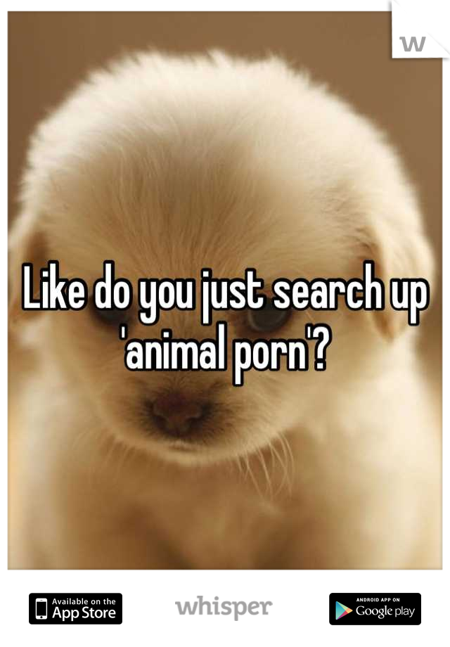 Like do you just search up 'animal porn'?