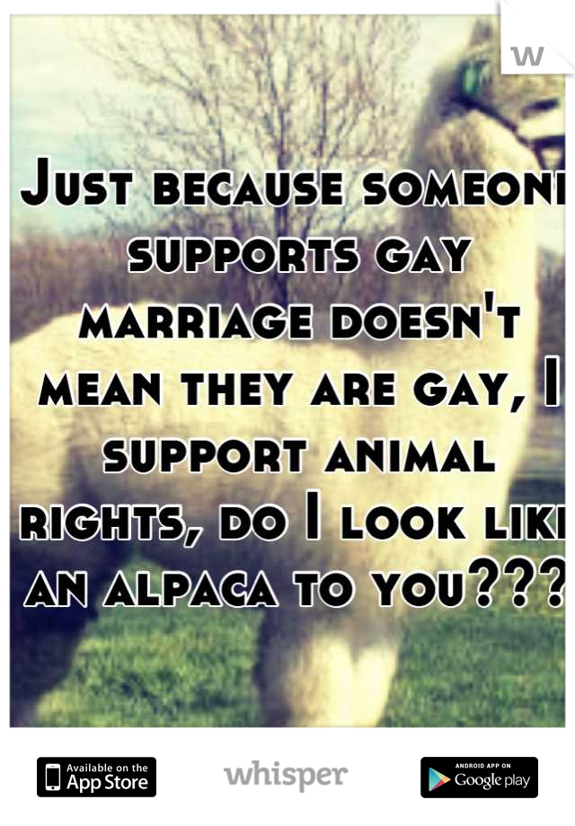 Just because someone supports gay marriage doesn't mean they are gay, I support animal rights, do I look like an alpaca to you???