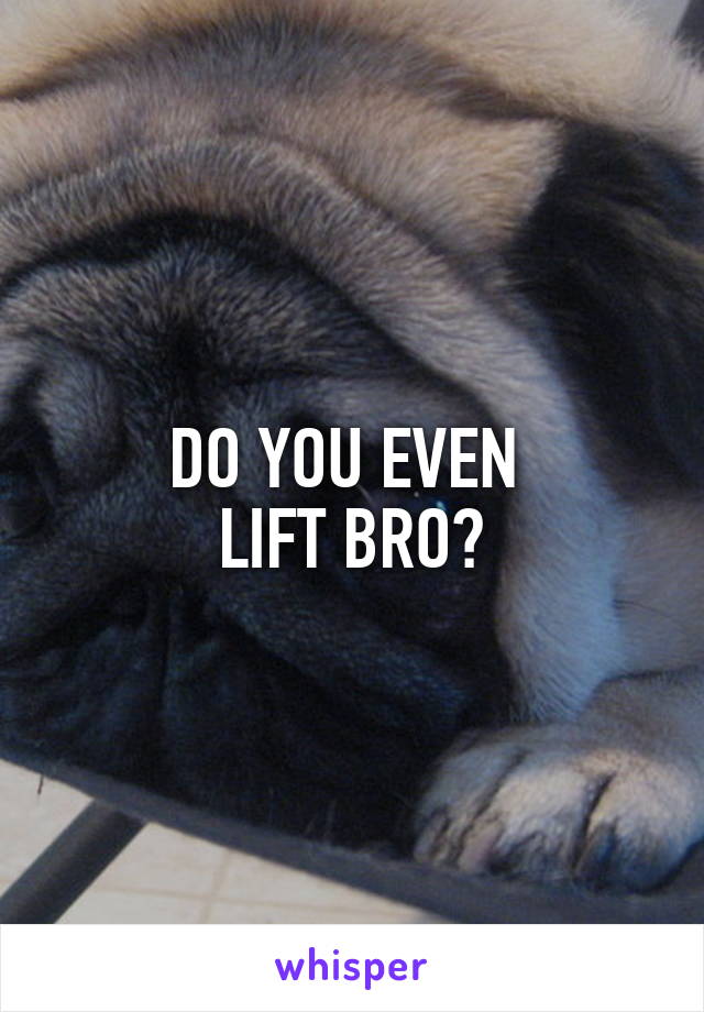 DO YOU EVEN 
LIFT BRO?