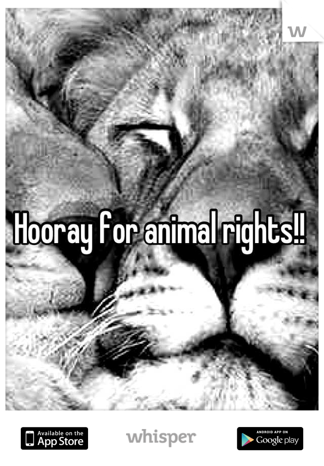 Hooray for animal rights!! 