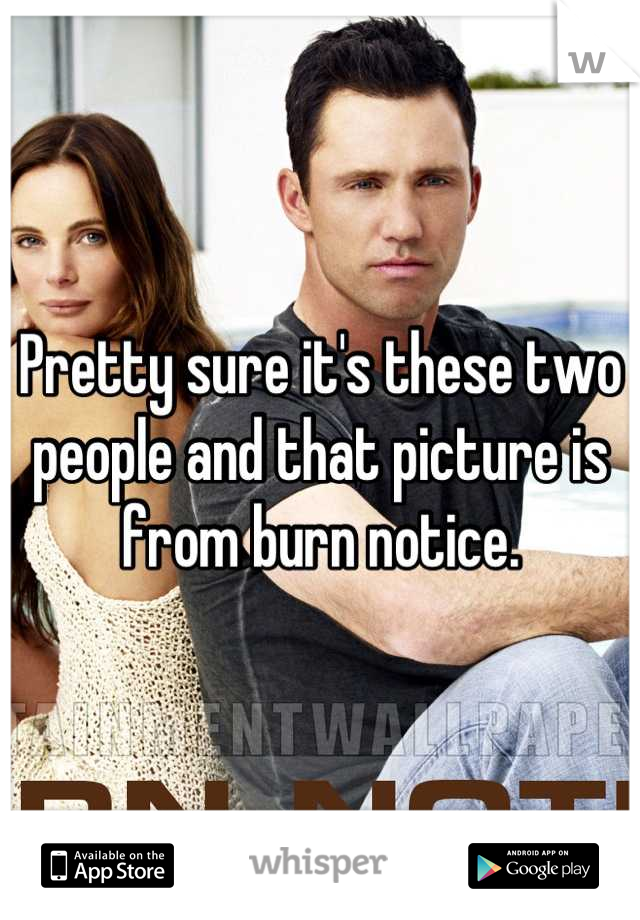 Pretty sure it's these two people and that picture is from burn notice.