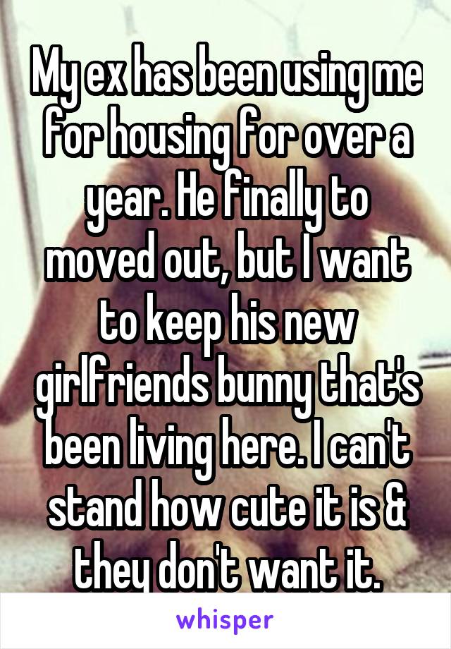 My ex has been using me for housing for over a year. He finally to moved out, but I want to keep his new girlfriends bunny that's been living here. I can't stand how cute it is & they don't want it.