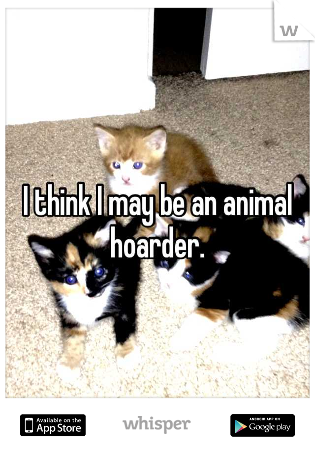 I think I may be an animal hoarder.