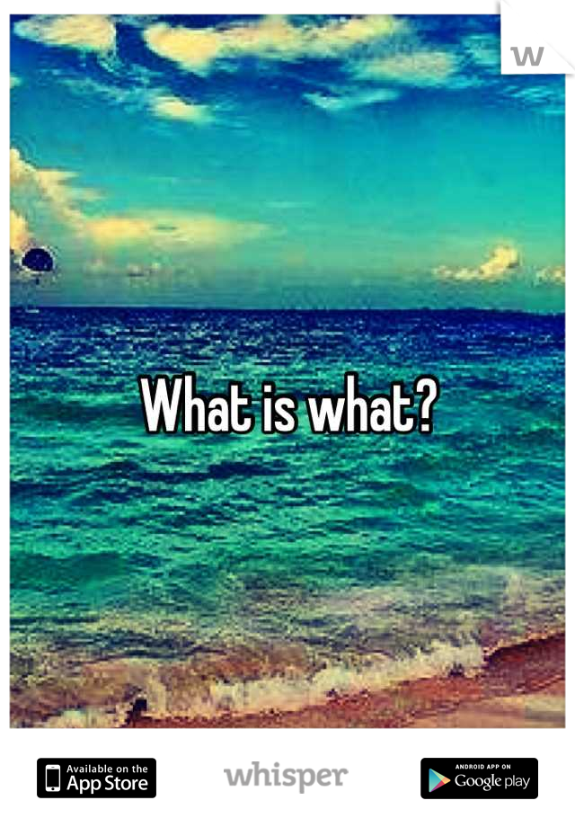 What is what?