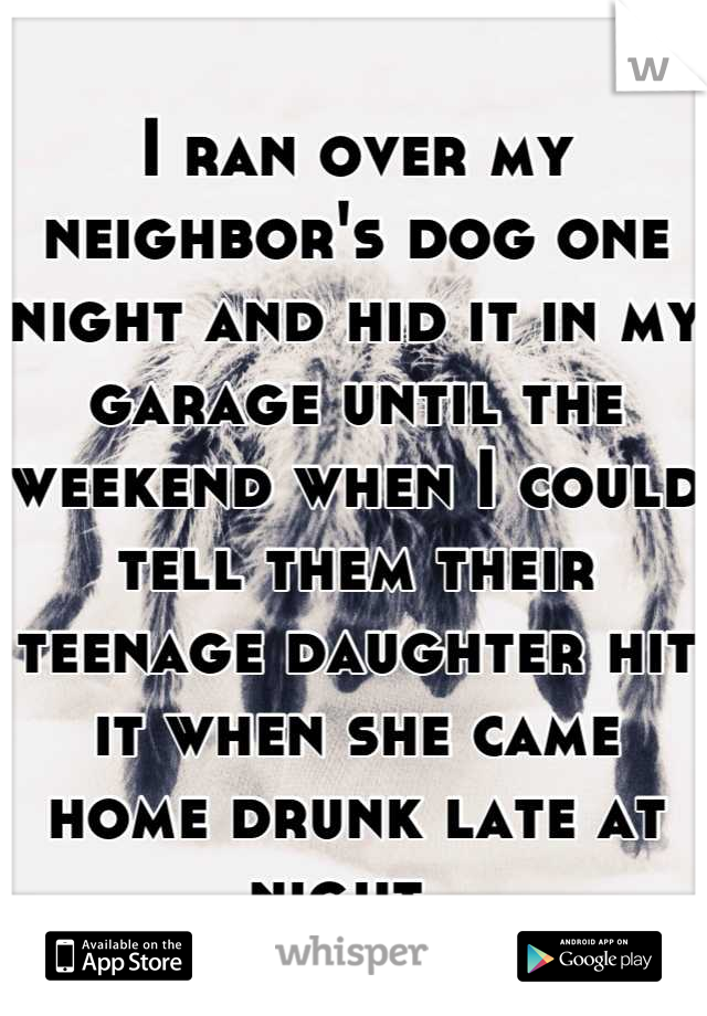 I ran over my neighbor's dog one night and hid it in my garage until the weekend when I could tell them their teenage daughter hit it when she came home drunk late at night. 