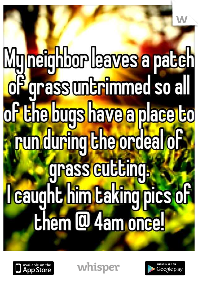 My neighbor leaves a patch of grass untrimmed so all of the bugs have a place to run during the ordeal of grass cutting.
I caught him taking pics of them @ 4am once!