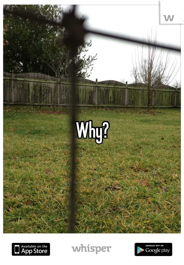 Why?