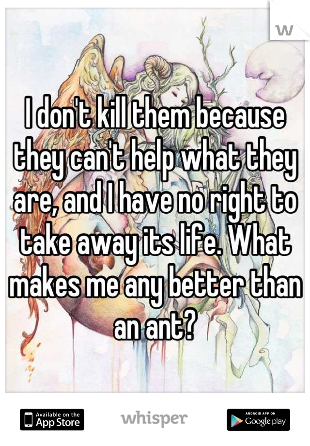 I don't kill them because they can't help what they are, and I have no right to take away its life. What makes me any better than an ant?
