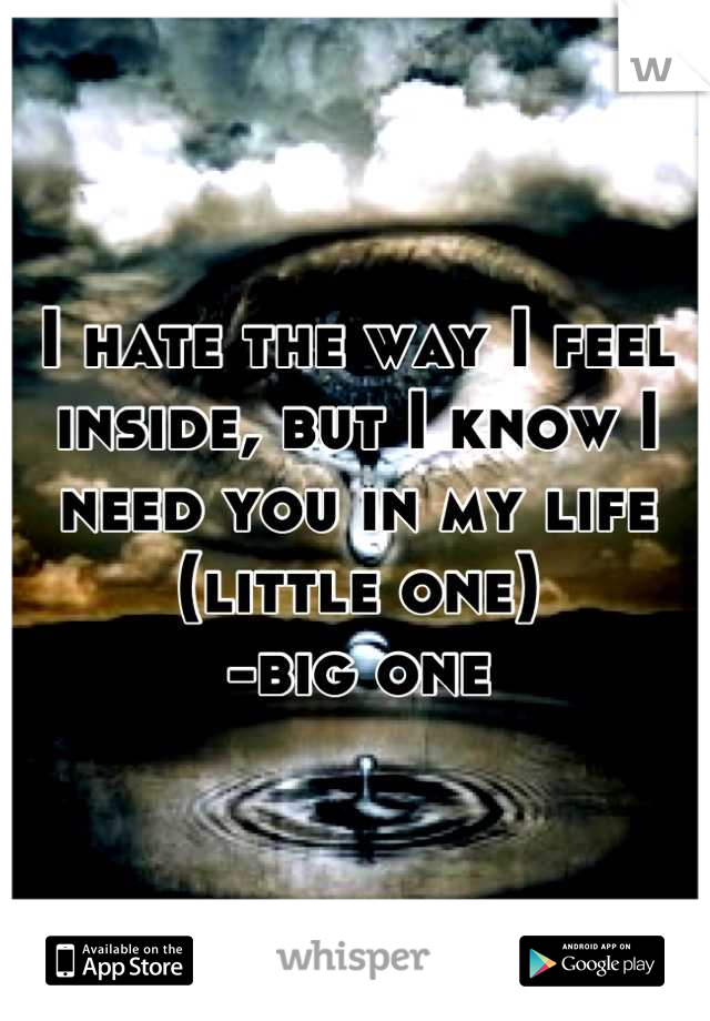 I hate the way I feel inside, but I know I need you in my life (little one)
-big one