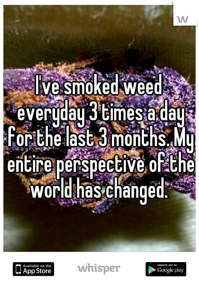 I've smoked weed everyday 3 times a day for the last 3 months. My entire perspective of the world has changed. 