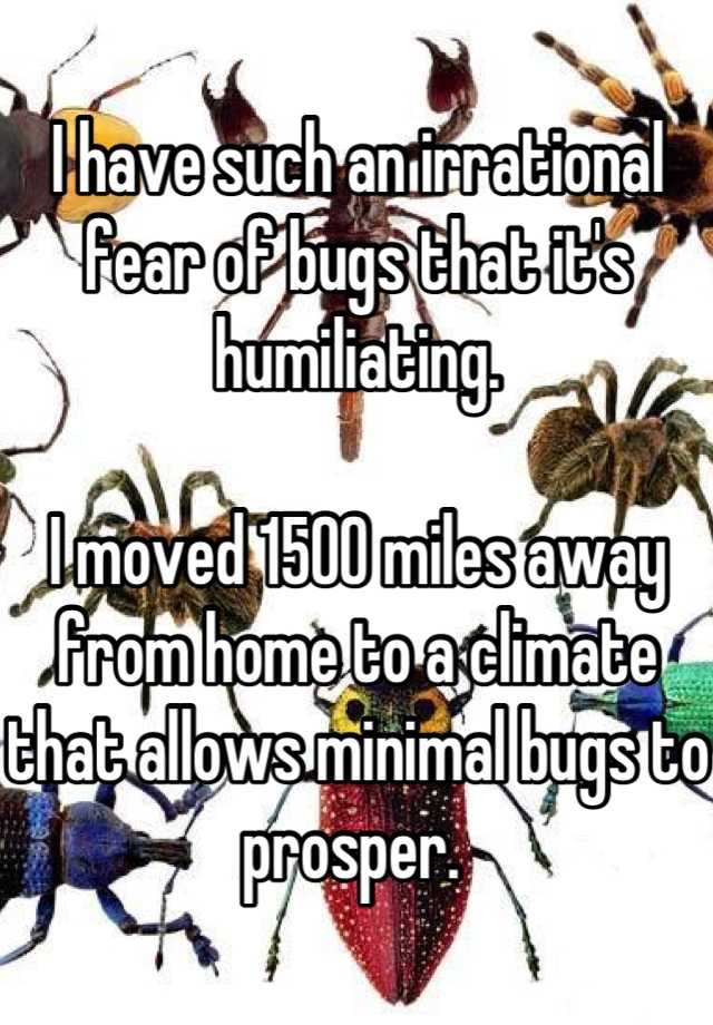 i-have-such-an-irrational-fear-of-bugs-that-it-s-humiliating-i-moved