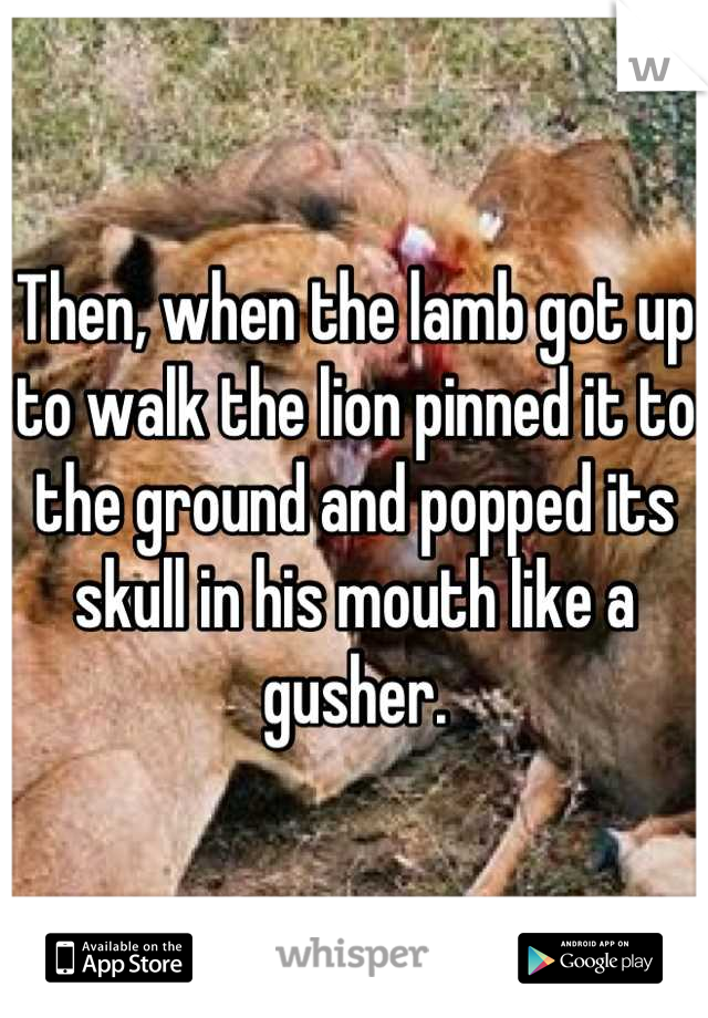 Then, when the lamb got up to walk the lion pinned it to the ground and popped its skull in his mouth like a gusher.