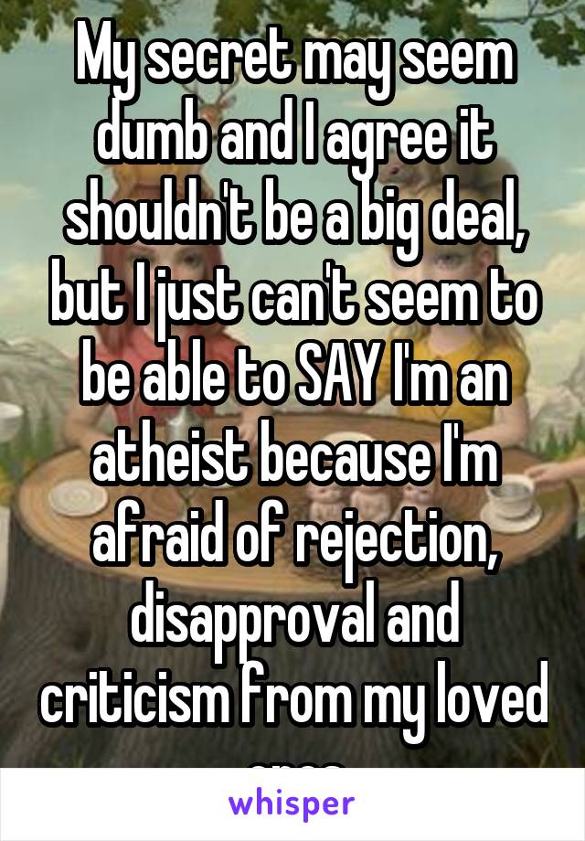 My secret may seem dumb and I agree it shouldn't be a big deal, but I just can't seem to be able to SAY I'm an atheist because I'm afraid of rejection, disapproval and criticism from my loved ones
