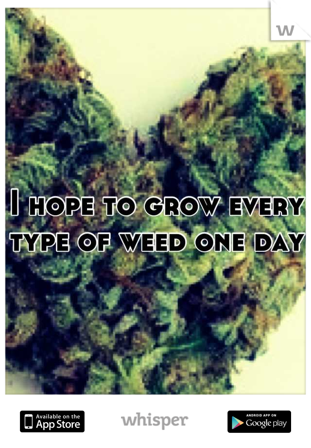 I hope to grow every type of weed one day