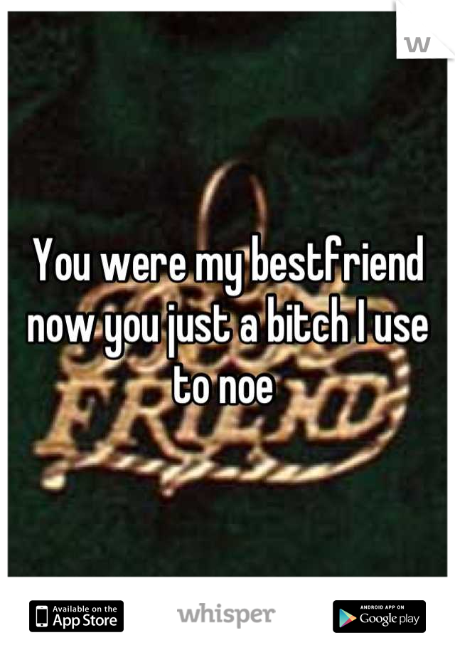 You were my bestfriend now you just a bitch I use to noe 