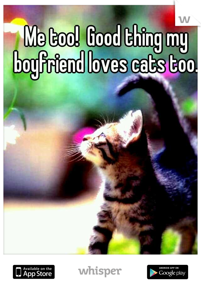 Me too!  Good thing my boyfriend loves cats too. 