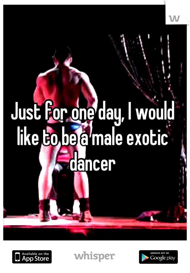 Just for one day, I would like to be a male exotic dancer