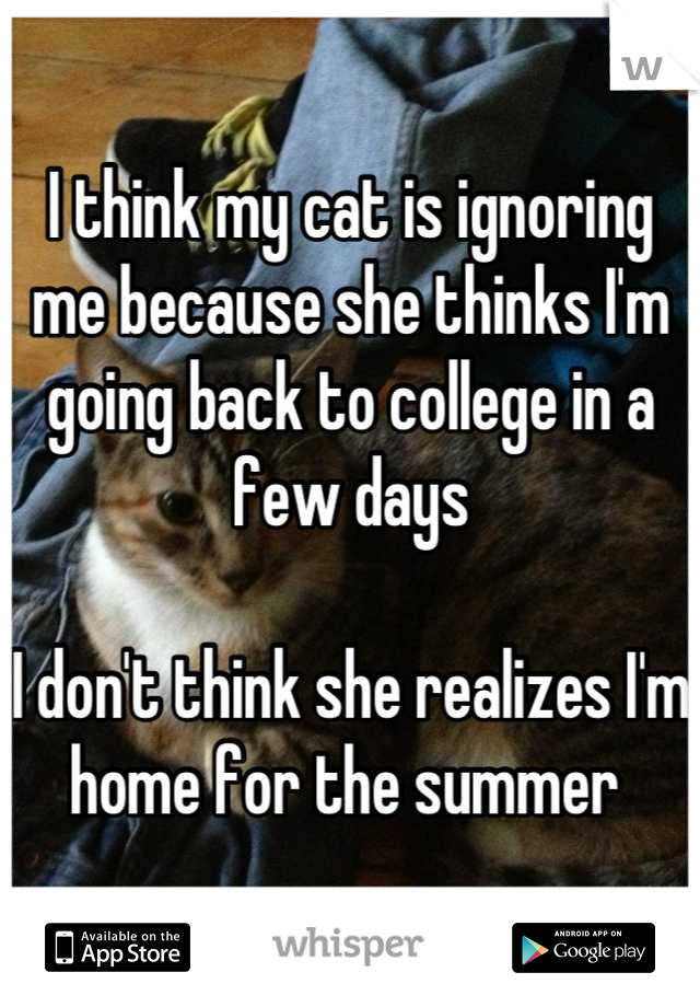 I think my cat is ignoring me because she thinks I'm going back to college in a few days 

I don't think she realizes I'm home for the summer 