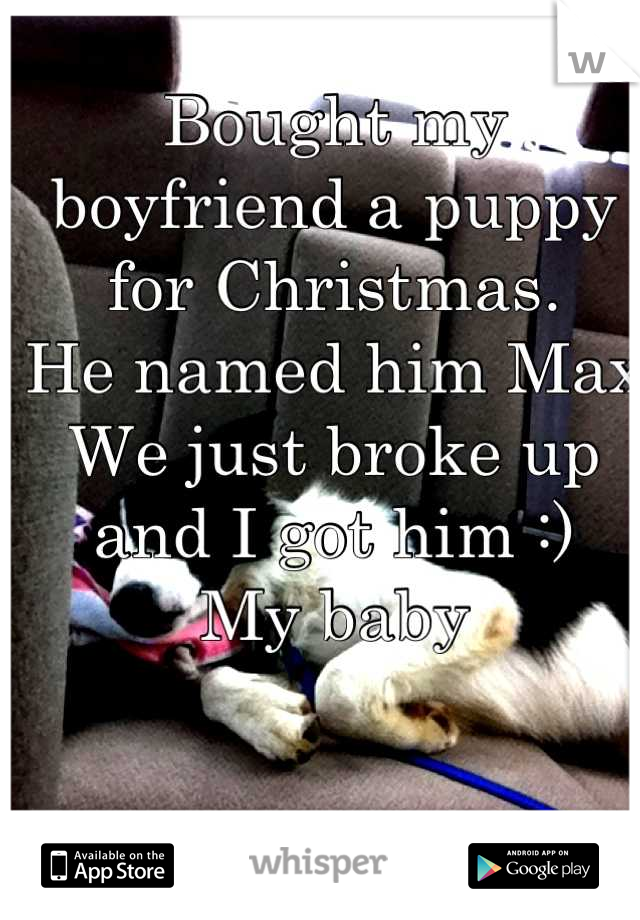 Bought my boyfriend a puppy for Christmas. 
He named him Max
We just broke up and I got him :)
My baby


Sucks to be you 