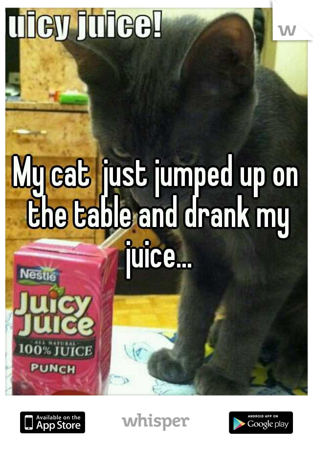 My cat  just jumped up on the table and drank my juice...