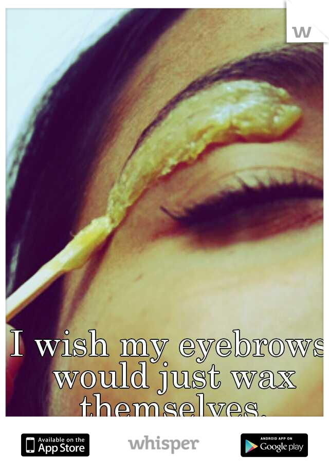 I wish my eyebrows would just wax themselves.
