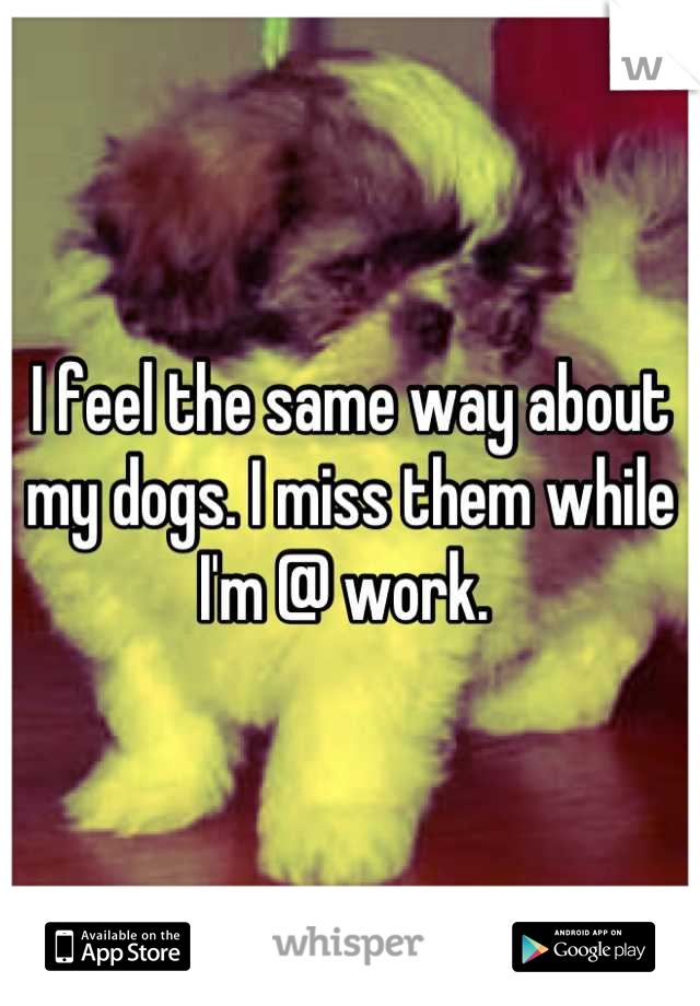 I feel the same way about my dogs. I miss them while I'm @ work. 